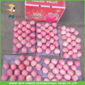 Hot Sale Fresh Fuji Apple produits, Fruits chinois Fuji Apple Fournisseur Grade A Fresh Apple